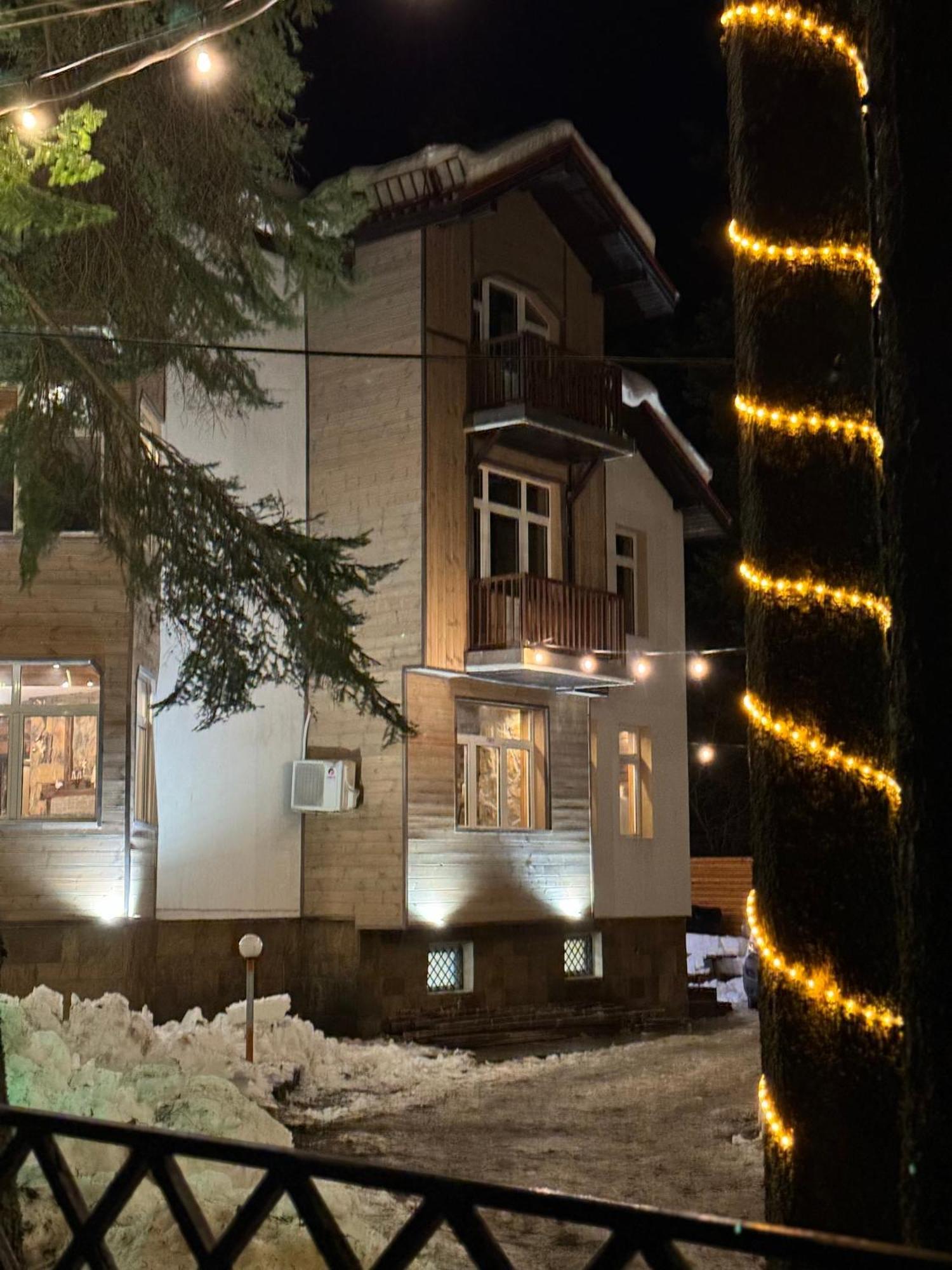 The Forest Villa Боровец Екстер'єр фото