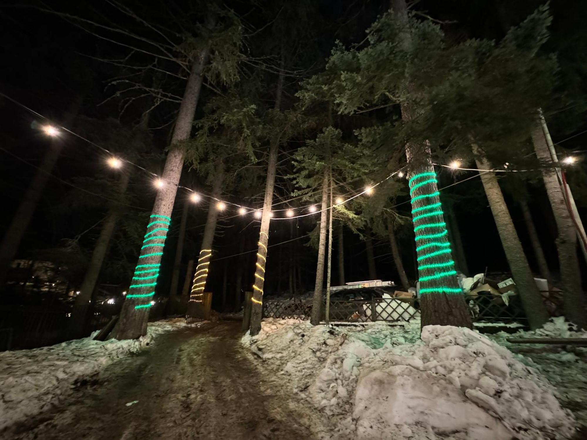 The Forest Villa Боровец Екстер'єр фото