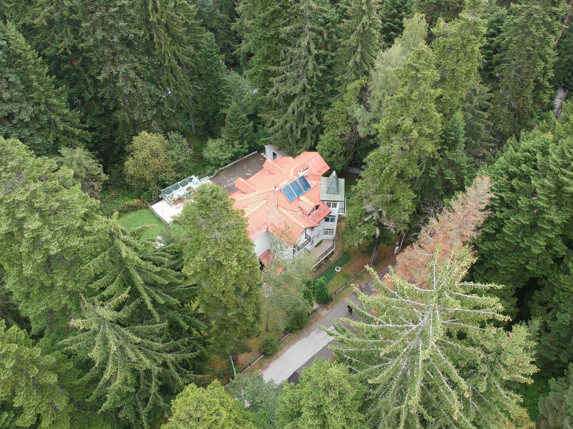 The Forest Villa Боровец Екстер'єр фото