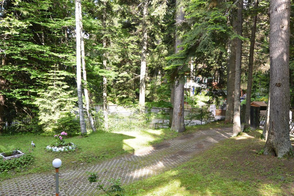 The Forest Villa Боровец Екстер'єр фото
